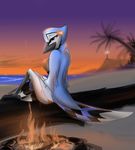  2012 anthro avian beach beak bikini bird breasts clothing corrvo feathered_wings feathers female fire flower flower_in_hair hi_res kalli looking_at_viewer looking_back palm_tree plant seaside solo sunset swimsuit talons tree wings 