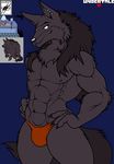  2016 absurd_res anthro black_fur canine clothing ear_piercing fur hi_res ice_wolf_(undertale) male mammal muscular nipples piercing solo thong undertale video_games walter_sache white_eyes wolf 
