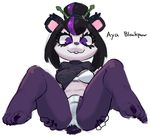  anthro aya_blackpaw bear black_hair breasts chi-iz clothing english_text female hair hearthstone mammal multicolored_hair panda pandaren panties purple_eyes purple_hair smile solo text two_tone_hair underwear video_games warcraft 