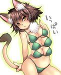  artist_request bra brown_eyes brown_hair cat furry multiple_breasts 