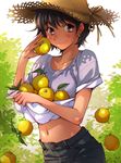  :3 bangs black_hair blush carrying closed_mouth collarbone commentary_request day denim earrings eyebrows_visible_through_hair food fruit hat highres holding holding_food holding_fruit jeans jewelry kerorin looking_at_viewer midriff navel orange pants purple_eyes shirt shirt_basket short_hair short_sleeves sleeves_rolled_up smile solo standing star star_earrings straw_hat sun_hat t-shirt tree 
