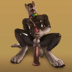  2015 4_toes 5_fingers anal anal_masturbation anal_penetration animal_genitalia animal_penis anthro balls barefoot black_fur black_hair black_nose bodysuit brown_background canine canine_penis claws clothed clothing collar cum cum_while_penetrated cumshot digital_media_(artwork) dildo dildo_riding dildo_sitting ejaculation erection eyes_closed front_view fur hair hi_res knot looking_pleasured male mammal masturbation multicolored_fur open_mouth orgasm orgasm_face pecs penetration penile_masturbation penis pink_penis pink_tongue rainbow_collar rubber rubber_suit sex_toy simple_background skinsuit solo teeth tight_clothing toes tongue tongue_out two_tone_fur virtyalfobo white_fur wolf 