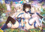  arm_support asymmetrical_legwear bangs black_hair black_legwear blue_eyes blue_hair blue_ribbon blunt_bangs breasts bug butterfly butterfly_hair_ornament cleavage cloud cloudy_sky covered_navel day detached_sleeves field floating_hair flower flower_field hair_ornament hair_ribbon high_ponytail highres insect large_breasts li_bai long_hair medium_breasts multicolored_hair multiple_girls nie_xiaoqian outdoors pink_ribbon rainbow repi ribbon sangai_senki silver_hair sitting sky smile thighhighs tree two-tone_hair very_long_hair water white_legwear 