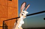  anthro breasts brown_fur disney fur grummancat jackie_hopps_(grummancat) lagomorph mammal nipples nude pubes rabbit solo zootopia 