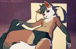  2017 anthro bed bedding blanket blue_eyes briefs bulge canine clothing cum cum_in dash_ravo dog erection lying male mammal morning_wood navel on_back pillow solo underwear waking_up wet_dream 
