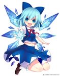  :d bangs bloomers blouse blue_blouse blue_bow blue_eyes blue_hair blue_skirt blue_wings blush bow breasts cirno eyebrows_visible_through_hair full_body hair_between_eyes ice ice_wings loafers looking_at_viewer midriff minamura_haruki navel neck_ribbon open_hands open_mouth outstretched_arms puffy_short_sleeves puffy_sleeves red_ribbon ribbon shoes short_hair short_sleeves simple_background skirt small_breasts smile snowflakes socks solo touhou underwear upper_teeth v-shaped_eyebrows white_background white_legwear wings 