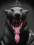  ambiguous_gender apoptosis eyes_closed feline feral gaping_mouth jaguar mammal mouth_shot saliva solo tongue tongue_out 