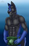  2017 abs anthro black_fur black_nose blue_background blue_eyes blue_fur blue_hair bulge canine cinta clothed clothing fur gloves_(marking) hair looking_at_viewer male mammal markings multicolored_fur muscular removing_clothing riondose simple_background smile solo standing teasing topless underwear wolf 