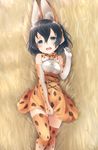  animal_ears blush bow commentary cosplay covering covering_crotch elbow_gloves fake_animal_ears gloves highres kaban_(kemono_friends) kemono_friends kuro_(baseball0000) looking_at_viewer lying on_back open_mouth serval_(kemono_friends) serval_(kemono_friends)_(cosplay) serval_ears serval_print serval_tail short_hair skirt skirt_pull sleeveless solo tail tearing_up 