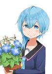 :d ahoge b-man blue_eyes blue_hair carrying commentary_request flower flower_pot kantai_collection looking_at_viewer minazuki_(kantai_collection) open_mouth school_uniform serafuku short_hair_with_long_locks simple_background smile solo upper_body white_background 