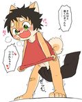  age_difference anthro balls band-aid bandage blush bottomless canine clothed clothing cub dog fur happy male mammal manmosu_marimo penis shaking shiba_inu shirt smile tan_fur tank_top text tickling translation_request trembling young 