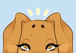  anthro blue_background brown_eyes brown_fur canine cherrikissu dog dogmom eyelashes female food fruit fur humor mammal outline raisin simple_background solo 