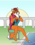  anthro brown_eyes brown_hair canine clothing dipstick_tail female fox fur hair long_hair looking_at_viewer mammal marsha_redfox mcarspec multicolored_tail one-piece_swimsuit orange_fur sitting smile solo sun swimming_pool swimsuit water 