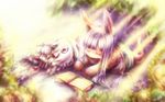  animal_ears blurry book closed_eyes commentary_request creature depth_of_field eyebrows_visible_through_hair full_body furry lavender_hair long_hair lying made_in_abyss mitty_(made_in_abyss) nanachi_(made_in_abyss) on_stomach open_book open_mouth plant red_eyes sunlight tail very_long_hair whiskers yunomoto_chihiro 