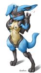  animal_ears breasts furry highres karabiner lucario nintendo paw paws pokemon red_eyes tail 