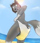  ambiguous_gender anthro beach blush canine diaper hair kratox mammal outside seaside sky solo urine water watersports wet_diaper 