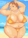  aritst_request bear brown_hair furry open_mouth swimsuit 