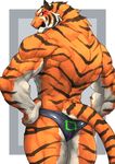  abs anthro butt captainjohkid clothing colored feline flakjacket0204 male mammal muscular pecs simple_background solo speedo swimsuit tiger underwear 