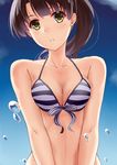  bangs bikini blue_bikini blush breasts brown_hair cleavage collarbone front-tie_bikini front-tie_top highres katou_megumi long_hair looking_at_viewer medium_breasts mizuki_(mizuki_ame) parted_lips ponytail saenai_heroine_no_sodatekata solo striped striped_bikini swimsuit upper_body v_arms water_drop wet yellow_eyes 