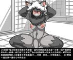  bathing bathroom breasts canine chinese_text dickgirl dr.bug female intersex mammal penis simple_background text translation_request white_background wolf 