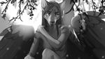  anthro breasts canine day featureless_breasts female greyscale hair mammal monochrome nude outside smile solo wildering wolf 