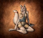  anthro barefoot breasts canine claws clothed clothing digitigrade dress female fur_markings grey_eyes hindpaw mammal markings nipple_bulge paws sitting smile solo titusw toe_claws whiskers wolf 