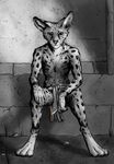  anthro cigarette clothed clothing digitigrade ear_piercing feline fur greyscale hindpaw loincloth looking_at_viewer male mammal monochrome paws piercing scar serval sitting solo spots spotted_fur titusw topless 