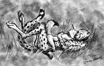  anthro canine cheetah cuddling digitigrade duo embrace eyes_closed feline fox grass greyscale hindpaw lying male mammal markings monochrome nude pawpads paws size_difference socks_(marking) titusw 