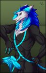  anthro erection fluffy invalid_color invalid_tag male muscular penis sergal silvergrin single 
