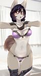  absurd_res anthro big_breasts blush bra breasts buried_frog canine clothed clothing dog female fur hair hi_res kemono looking_at_viewer mammal open_mouth panties short_hair solo underwear 