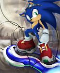  green_eyes hover_board male_focus shoppaaaa smile solo sonic sonic_the_hedgehog sunglasses 