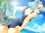 adjusting_clothes adjusting_swimsuit animal_ears beach blue_eyes blush cloud day from_behind hat inubashiri_momiji lens_flare looking_back maki_(seventh_heaven_maxion) ocean one-piece_swimsuit outdoors palm_tree school_swimsuit short_hair silver_hair sky solo sun swimsuit tail tokin_hat touhou tree wolf_ears wolf_tail 