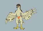  2017 anthro avian bird blush brown_feathers clothed clothing digital_media_(artwork) feathered_wings feathers hawk hi_res lief_woodcock male orange_eyes solo speedo standing swimsuit talons tan_feathers theandymac topless wings 