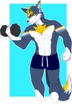  abs agonylight biceps canine clothed clothing digital_media_(artwork) hair hi_res male mammal muscular nipples pants pecs shorts solo standing tan5551 topless triceps wolf yellow_eyes 