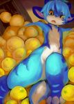  anthro blue_fur cat dragon feline food fruit fur looking_at_viewer mammal navel open_mouth orange_(fruit) rady-wolf sitting yellow_eyes 