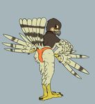  2017 anthro avian bent_over bird blush brown_feathers butt clothing collar digital_media_(artwork) feathered_wings feathers hawk hi_res lief_woodcock male orange_eyes presenting presenting_hindquarters solo speedo swimsuit talons tan_feathers theandymac wings 