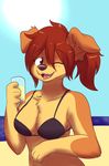 2016 anthro beach beverage bikini breasts brown_eyes brown_fur brown_hair canine chest_tuft clothed clothing dog drinking_glass female fizzy-dog freckles fur hair mammal one_eye_closed outside seaside skimpy sky slovenskiy smile solo sugar_(slovenskiy) sun swimsuit tan_fur tuft 