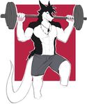  abs anthro discordnight exercise gym hi_res invalid_tag male mammal muscular penis sergal simple_background tan5551 workout 