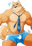  ! 2015 abs biceps big_muscles blue_eyes boxers_(clothing) brown_fur bulge canine chest_tuft clothed clothing dog fur hi_res male mammal multicolored_fur muscular muscular_male necktie otake pecs pubes raised_eyebrow signature solo surprise takemoto_arashi tan_fur topless tuft two_tone_fur underwear 