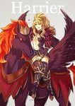 armor blonde_hair breasts clair_(fire_emblem) cleavage_cutout fire_emblem fire_emblem_echoes:_mou_hitori_no_eiyuuou full_body fur_collar greaves grey_background gzei large_breasts long_hair looking_at_viewer pegasus riding simple_background smile solo 