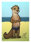  anthro beach blush briefs brown_fur brown_nose bulge clothing embarrassed erection fur male mammal mustelid navel nipples otter penis_outline seaside sky solo standing sweaciabic underwear water 