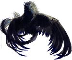  alpha_channel ambiguous_gender black_feathers black_fur blue_feathers canine feathers fur hybrid mammal open_mouth pawpads paws simple_background tatchit teeth transparent_background wolf 