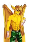  2017 airos anthro athletic big_ears big_wings black_lips black_nose bumka fight_bandages_on_forearms fur gold_ears gold_fur gold_hair kaelon male simple_background wings yellow_eyes 