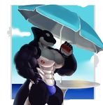  2017 abs anthro beach biceps big_muscles bulge can clothing cloud demondragoncyan fin male mammal marine muscular muscular_male navel nipples parasol pecs seaside sky smile solo speedo swimsuit table water 