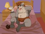  4_toes 5_fingers anthro bed bedding blanket boxers_(clothing) brown_eyes brown_hair bulge canine clothing fur grey_fur hair male mammal moobs navel nipples open_mouth overweight pawpads rory_(spyzslair) sitting solo spyzslair sweat toes tongue tongue_out underwear wolf 