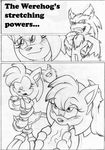  amy_rose leopold_visette sonic_team sonic_the_hedgehog tagme 