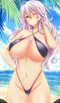  ;) ahoge ass_visible_through_thighs bare_arms bare_legs bare_shoulders beach bikini black_bikini blue_sky blush breasts cleavage cloud cloudy_sky collarbone cowboy_shot criss-cross_halter day gatchapowa granblue_fantasy groin halter_top halterneck hand_on_hip hand_on_own_neck hand_up highleg highleg_bikini large_breasts lavender_hair leaf long_hair looking_at_viewer navel ocean one_eye_closed outdoors palm_tree rock silva_(granblue_fantasy) sky smile solo standing swimsuit thigh_gap tree underboob water wavy_hair yellow_eyes 