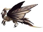  ambiguous_gender beak black_beak brown_fur claws feral fur membranous_wings simple_background solo standing tatchit white_background white_feather white_fur wings 