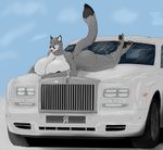  angrypotato96 anthro big_breasts breasts canine female huge_breasts looking_at_viewer lying mammal nipples nude on_front rolls_royce solo 