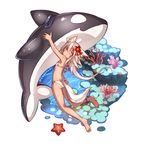  animal_ears ass bikini commentary_request coral expressionless flat_chest flower full_body hair_flower hair_ornament inflatable_orca inflatable_toy kazana_(sakuto) long_hair looking_at_viewer original saku_(kazana) starfish swimsuit tail tan twitter_username white_hair wolf_ears wolf_tail yellow_eyes 